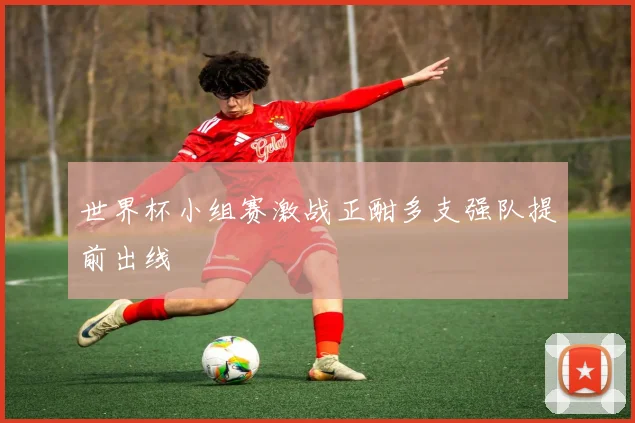 世界杯小组赛激战正酣多支强队提前出线