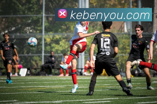 App Interface Preview